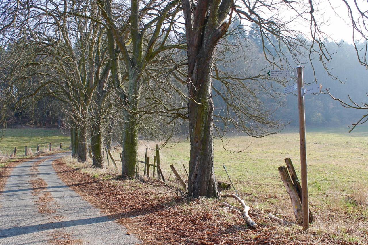 Gasthaus Zur Hardtmuehle Alsfeld Extérieur photo